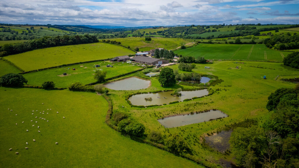 Aerial view of a farm
