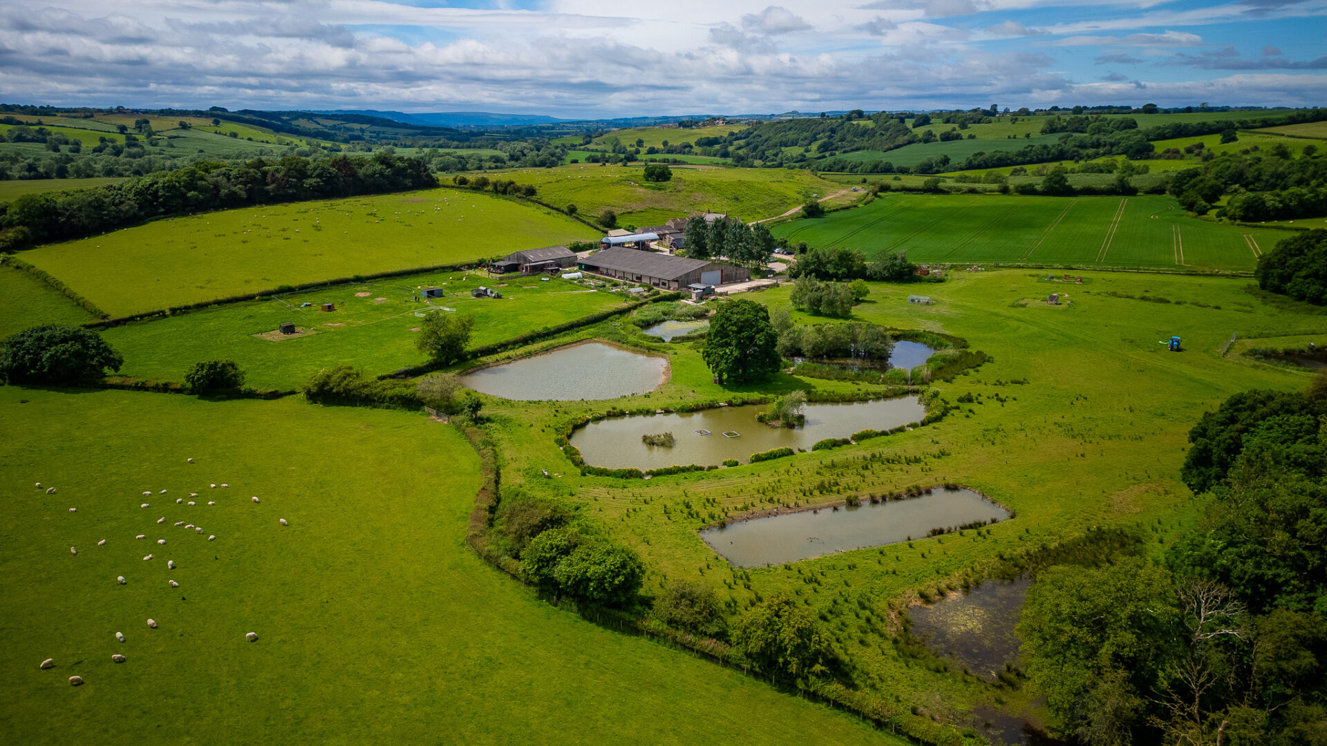 Aerial view of a farm