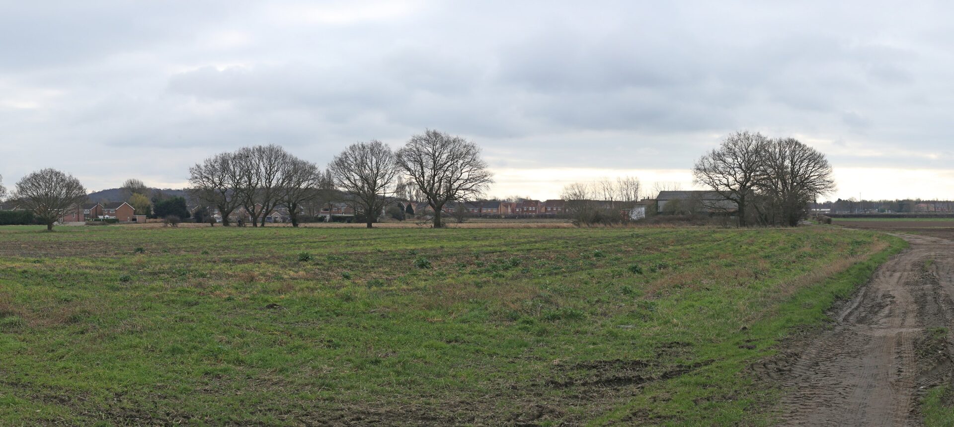 A green field with trees in the distance