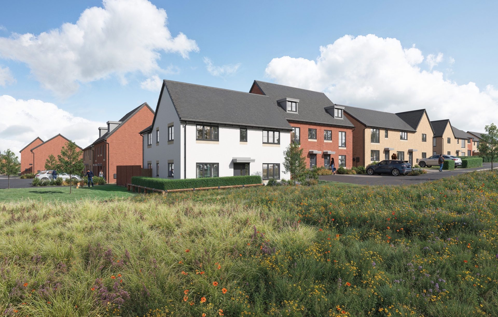 Architectural rendering of a new residential development with modern homes beside a grassy field
