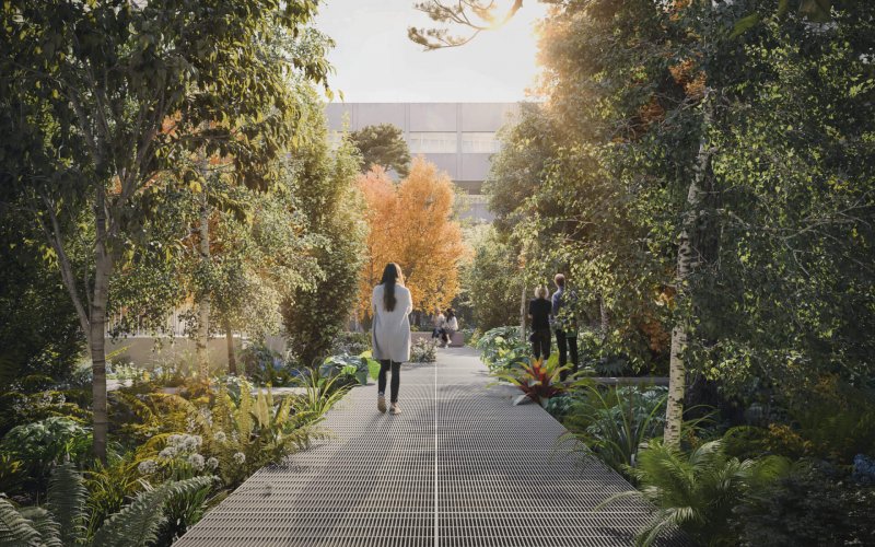 02_Maple House - Courtyard Walkway © 4Real Creative