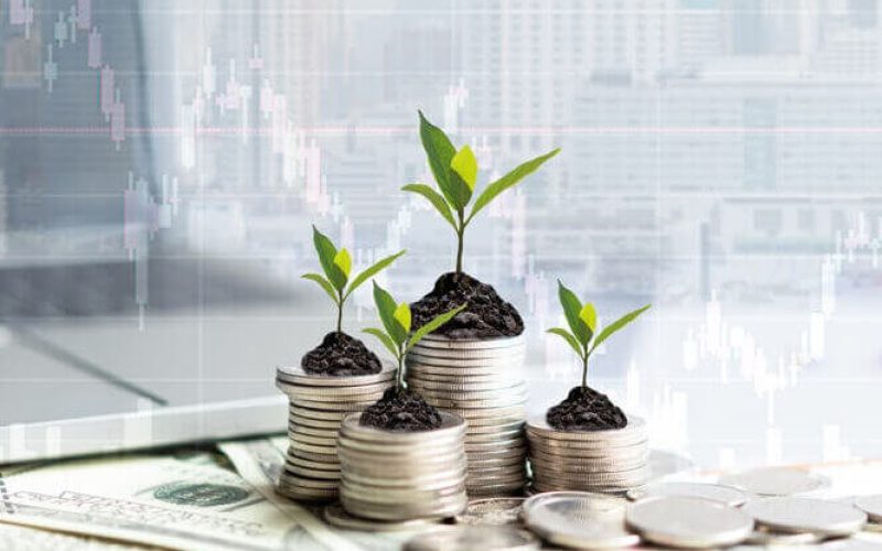 2024,New,Year,On,Growing,Up,Money,Coin,Stack,For