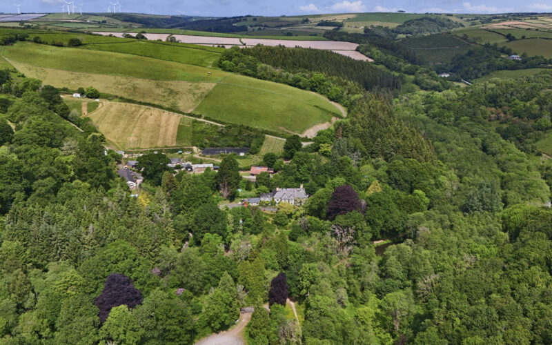 Broomhill