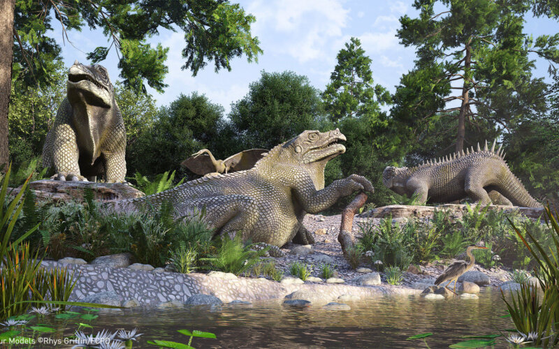 Dinosaur Models ©Rhys Griffin_FCPD