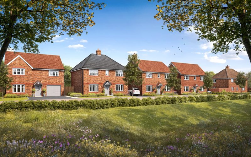 CGI of a row of homes with green fields and wild flowers in the foreground