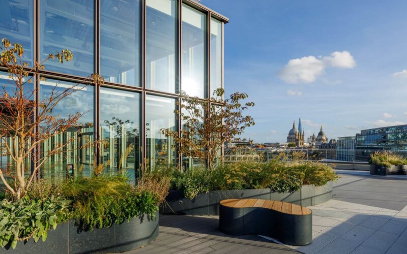 JJ Mack _roof terrace 1