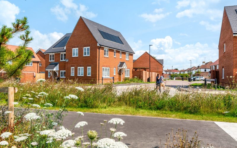 A new housing estate with grassland at the front