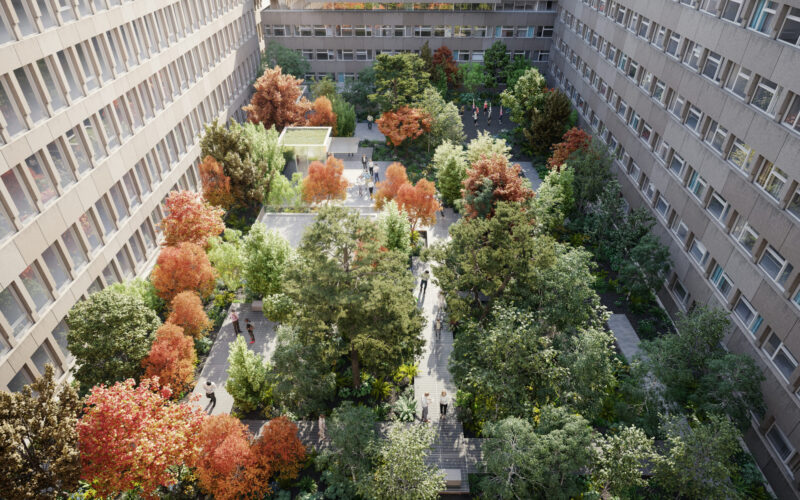 Maple House (credit Gibson Thornley)