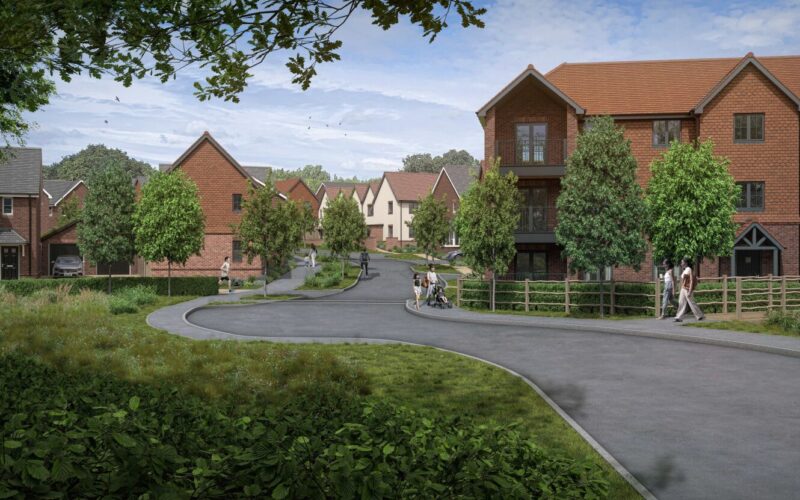 Petersfield Buckmore Green Dandara