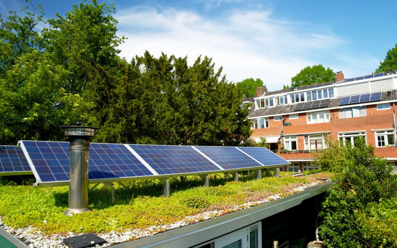 Solar,Panels,On,A,Green,Roof,With,Flowering,Sedum,Plants.