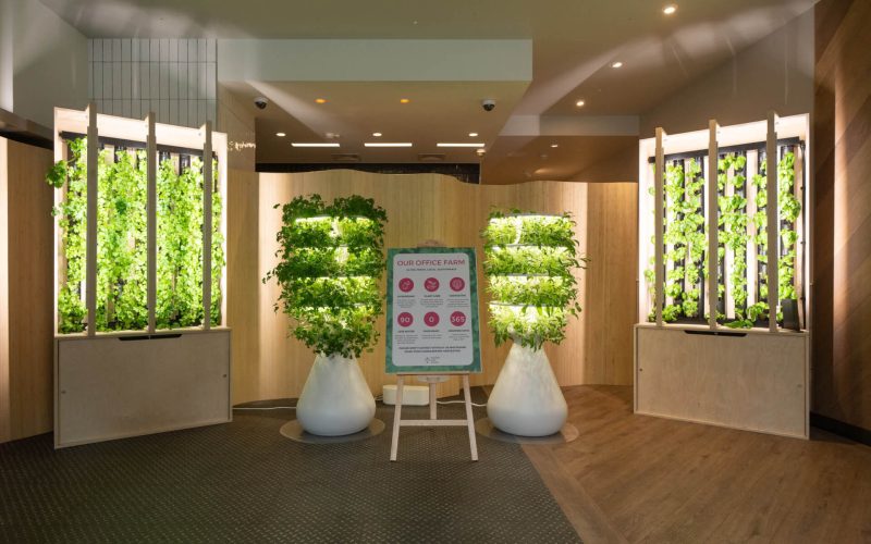 Urban Farm, Image 6