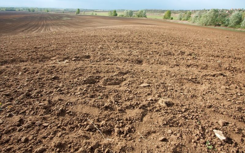 Brown,Soil,Of,An,Agricultural,Field