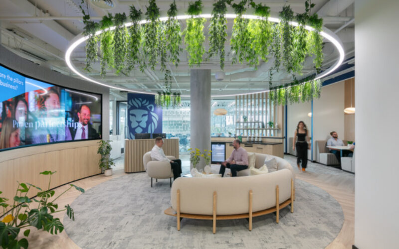 A room with a large tv screen on the left, a sofa in the middle and greenery hanging from the ceiling