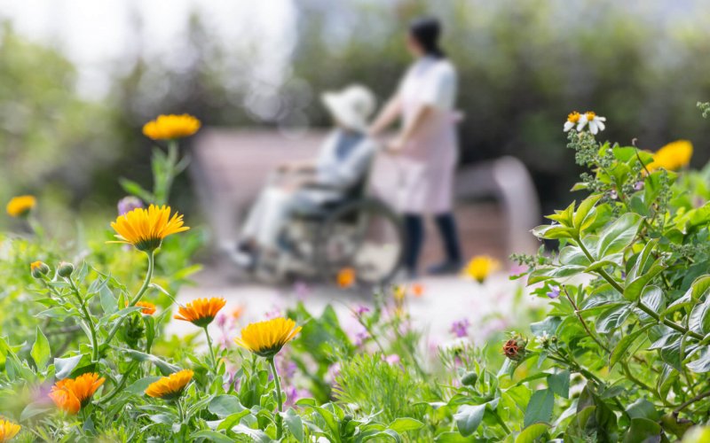 Elderly,Wheelchairs,And,Care,Helpers,Take,A,Walk,In,A