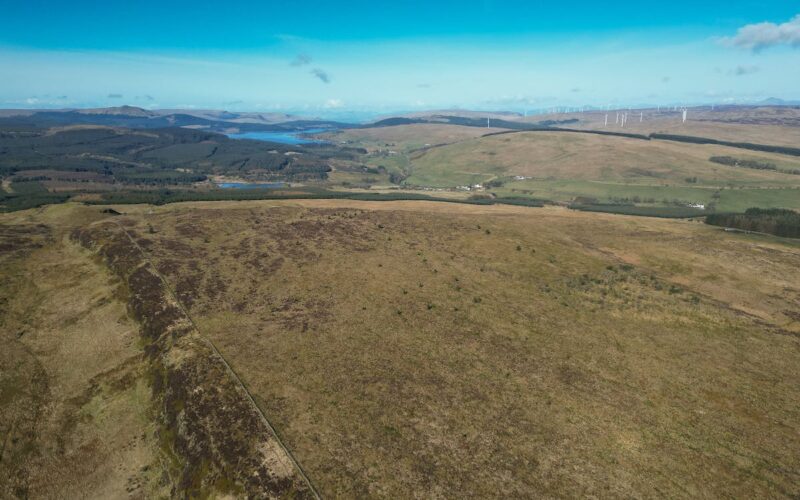 DM Hall - Darrach Hill - pic 2