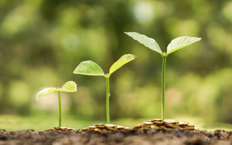 Business,With,Csr,Practice