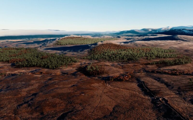 Far Ralia, Cairngorms National Park, Knight Frank - CGI trees (2)
