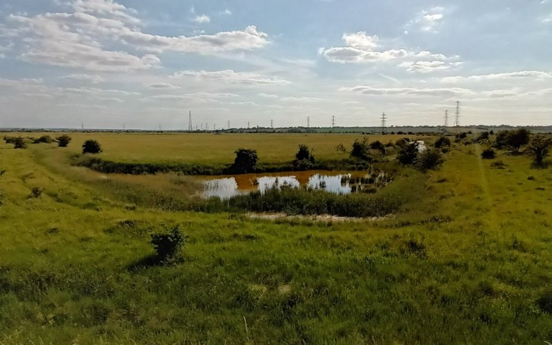 Fobbing Marsh CREDIT Essex Wildlife Trust