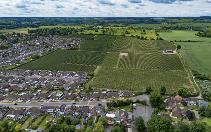 Hallam Land