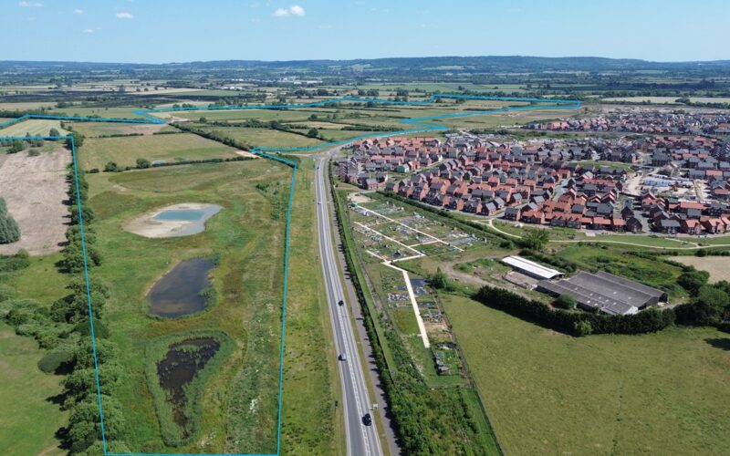 Kingsbrook Meadows 2