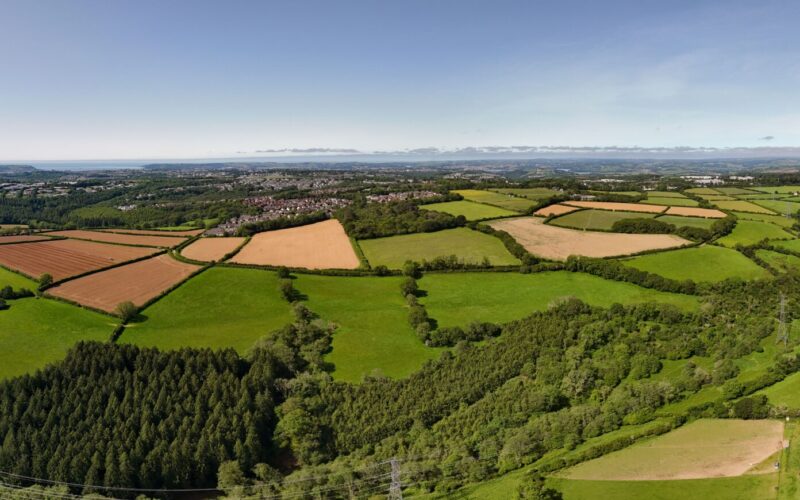 Aerial view of a patchwork of green fields with wooded areas