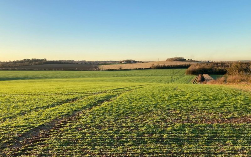 Lower Valley Farm biodiversity bank