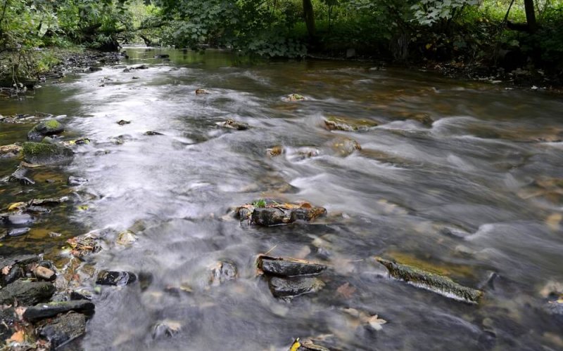 Water,Gently,Flowing,Through,Northwest,English,Woods,In,Standish,,England.