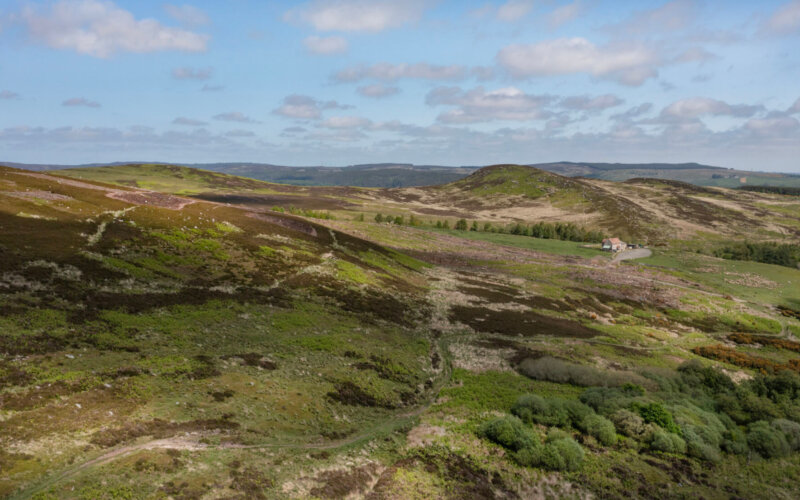 Rothbury Estate, Northumberland, Knight Frank (5)