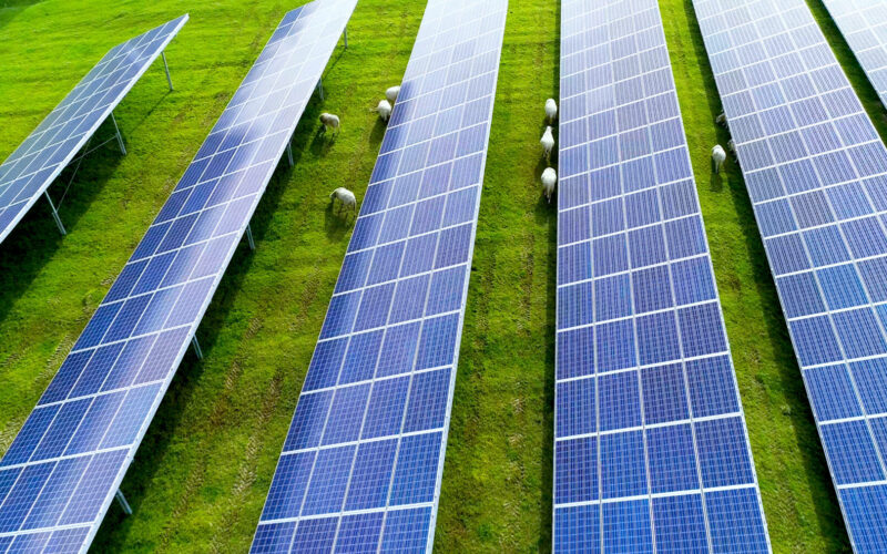 champs de panneaux solaire dans une ferme solaire