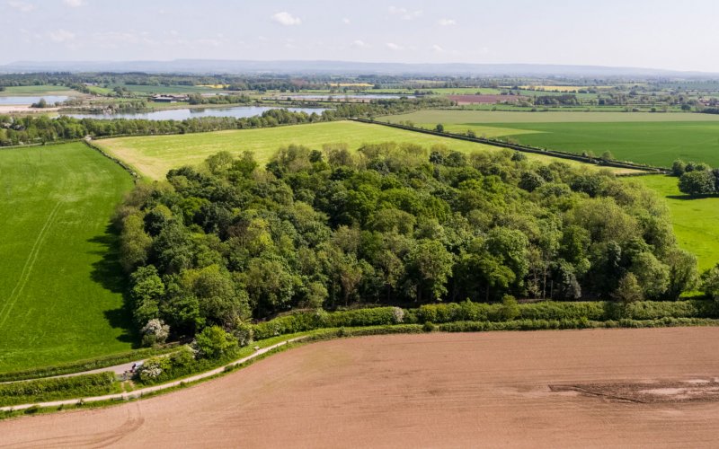 Thornborough Henges