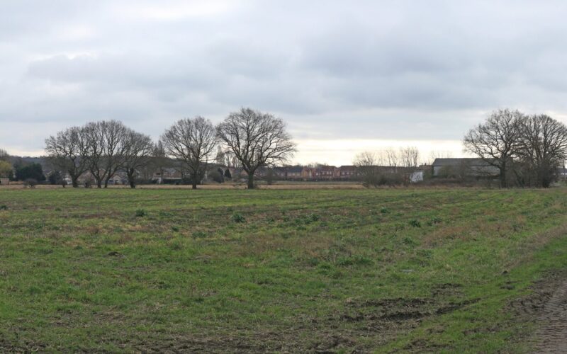 A green field with trees in the distance