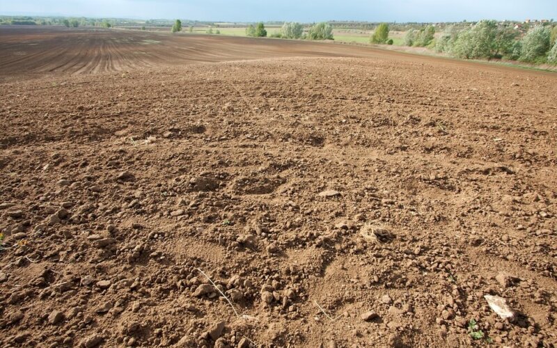 Brown,Soil,Of,An,Agricultural,Field